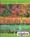 Intermediate Algebra (10th Edition)