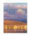 California Geology (2nd Edition)