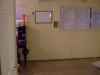 $250 - $250 - Subleasing Room for the Summer (Shared)