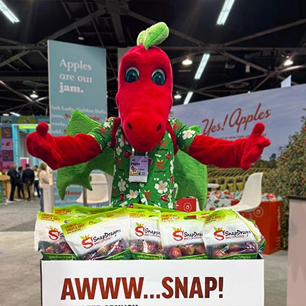 Mascot Performer – 