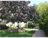 $1,500 - Rentals Available Walking Distance to RISD