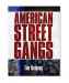 American Street Gangs