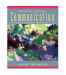 Thinking Through Communication: An Introduction to the Study of Human Communication (5th Edition)