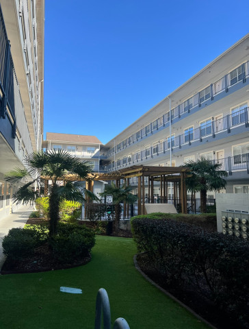 Two Months Free! Great Location. Walk to FSU 
