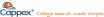 $1,000 Award - I Don't Want To Pay for Scholarship CPA