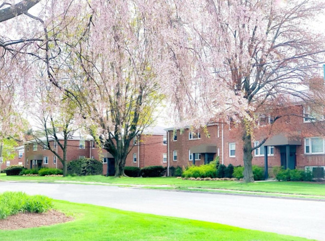 Sublease for 6 months (extendable)