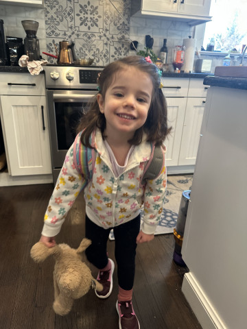 Driving babysitter mornings and afternoons $25/hour