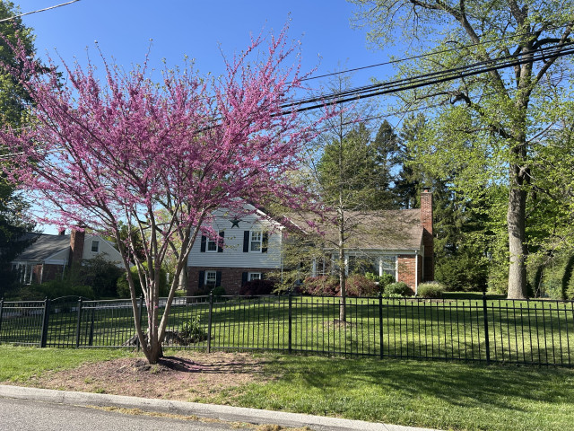 Rental - Top Floor with office and full bathroom