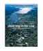 Planning in the USA: Policies, Issues and Processes