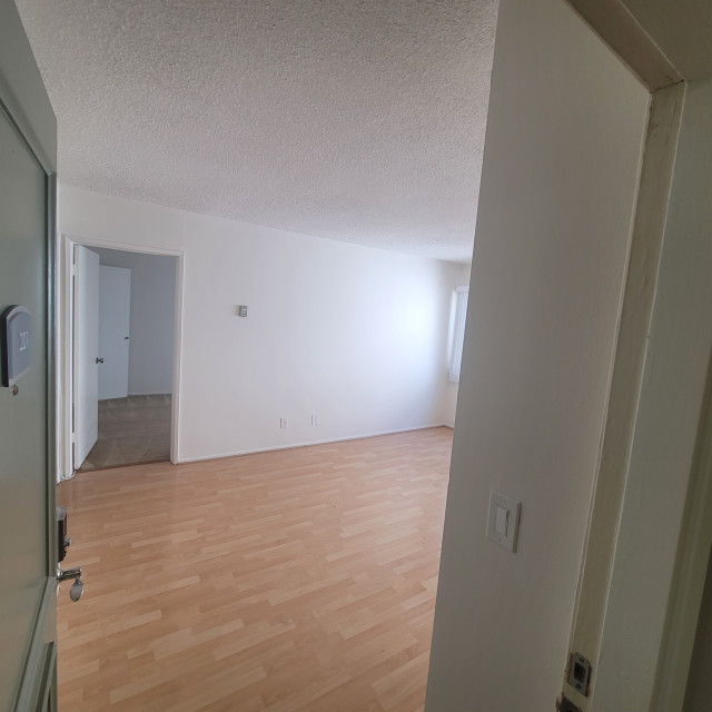 1 Bedroom w/ Huge Closet! Great for roomies!! Parking included!