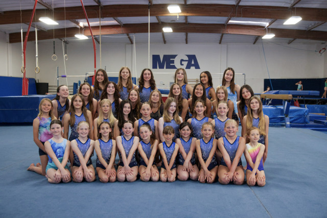 Gymnastics Coach