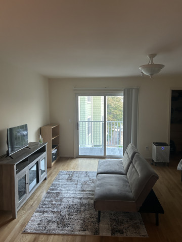 Studio Apartment on Wertland Street