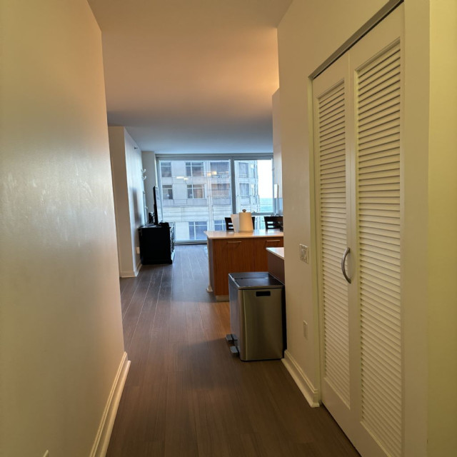 Sublease Luxury Apartment in Streeterville (Lake views)