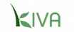 Development Team Intern - NYC