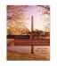American Government: The Essentials: Institutions and Policies, 12th Edition