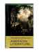 The Norton Anthology of American Literature: (B)