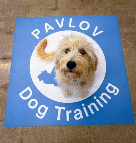 Animal Care Technician