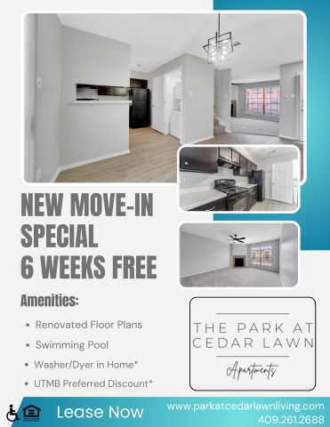 6 WEEKS FREE RENT MOVE IN BY MARCH 31 TWO BED TWO BATHPOOL