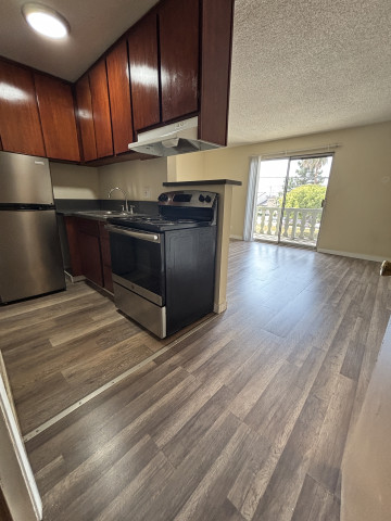 Spacious Studio w/ Giant Balcony /Walk In Closet/All Utilities Included! 