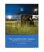 The Juvenile Justice System: Delinquency, Processing, and the Law (6th Edition)