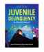Juvenile Delinquency: An Integrated Approach, Second Edition