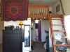 $500 - oceanside dp summer subleaser needed for cheap!