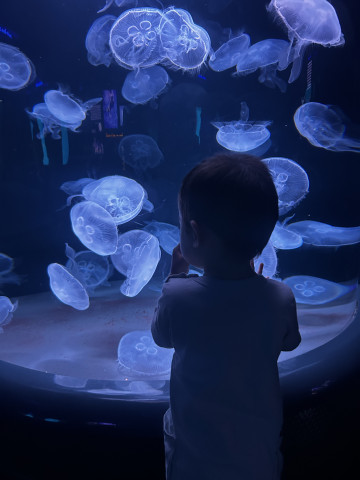 Part-time Nanny Care near University of Delaware 