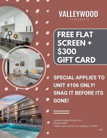 FREE FLAT-SCREEN TV & $300 GIFT CARD