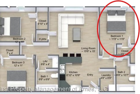 Female Roommate Needed