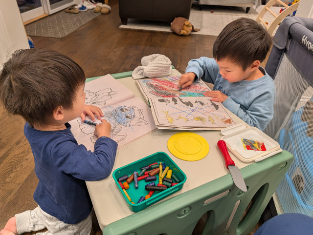 Mandarin Speaking part-time or full-time nanny