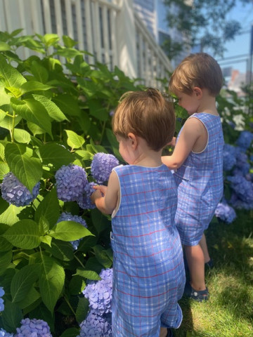 Summer Swim Coach / Babysitter in Darien for 3 Little Kids