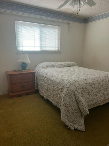 Single Room For Rent