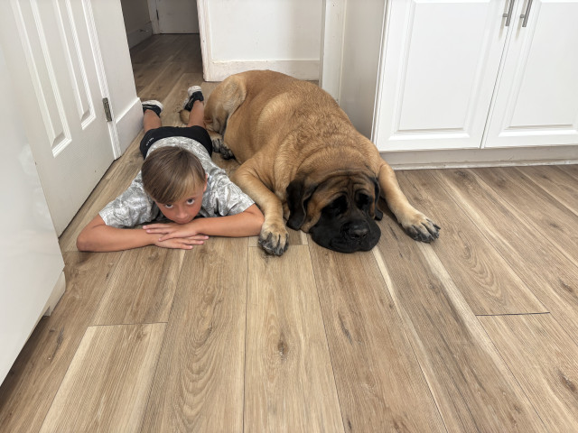Babysitter- 7 year old boy