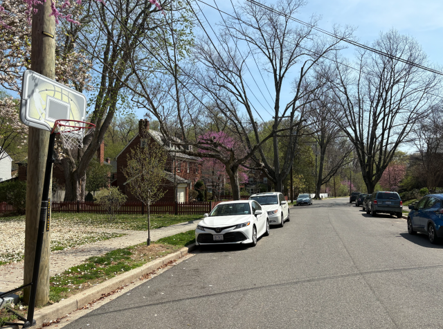 Afternoon mother's helper