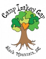Camp Counselor for autism program
