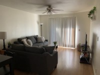 TWO SOFAS FOR SALE- $1200