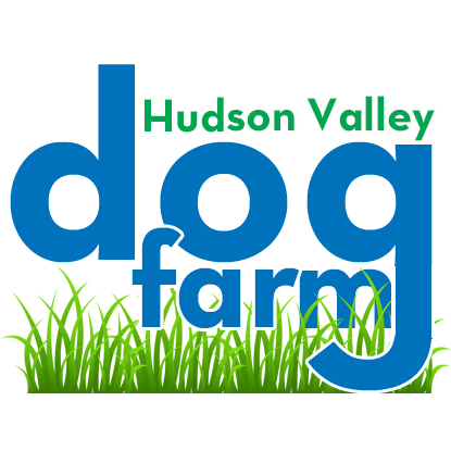 Kennel Assistant