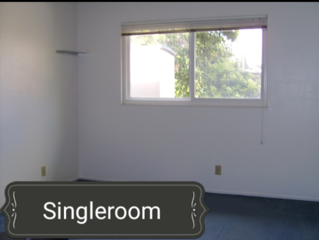 Room for rent in Silver Creek Road 