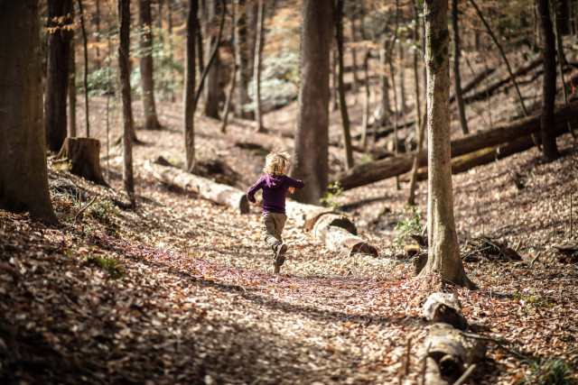 Nanny Needed in Druid Hills for Our Curious 5-Year-Old