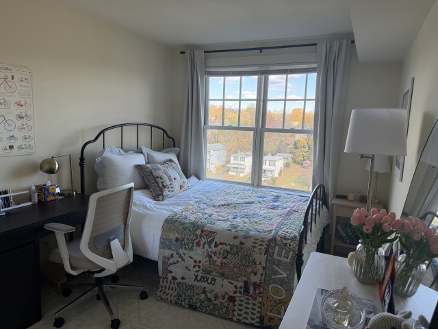 Furnished 1BR 1BA - Spring 2026
