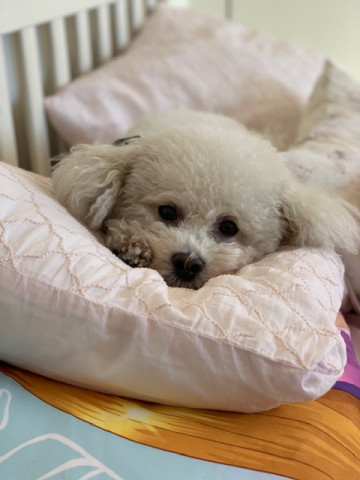 Afternoon sitter for two kids wanted in Studio City, competitive pay.. 