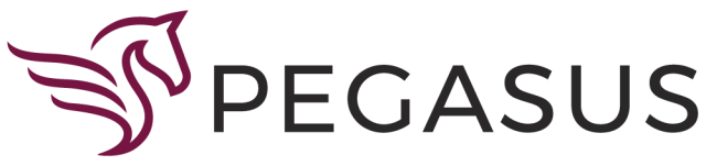 Brand Ambassador/Street Team (Paid | Flexible Hours)
