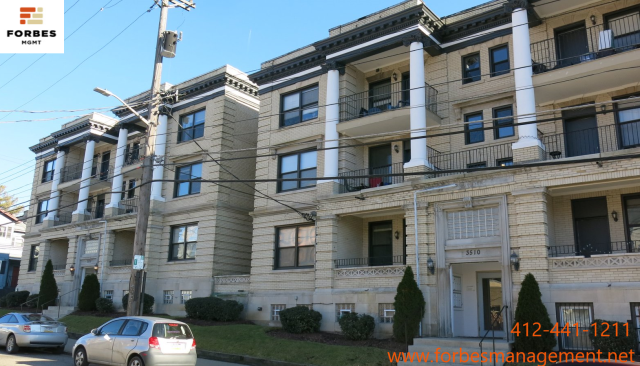 AVAIL 8/1/2025! South Oakland! Louisa St #23! 5 minute walk to Pitt! Laundry on-site! Paid parking available!