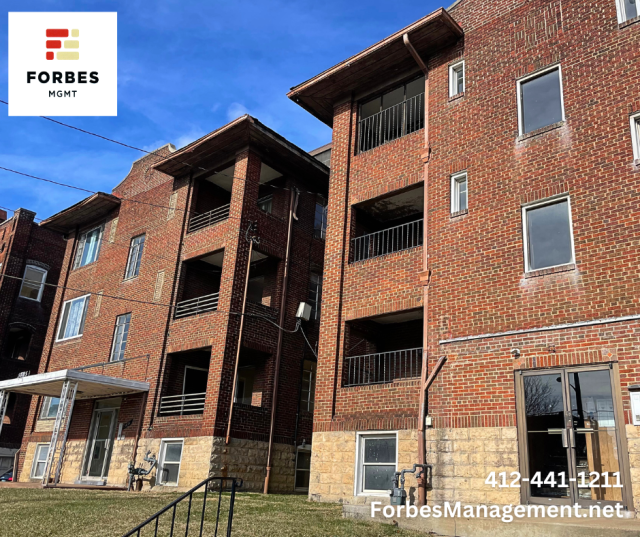 New renovation! 2BR/1BA! Close to CMU! In-Unit Laundry!